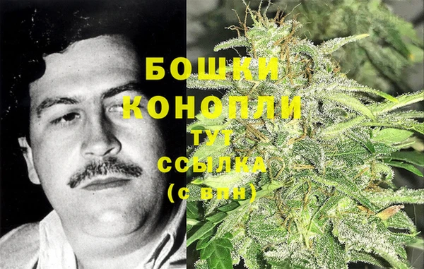 шишки Горно-Алтайск