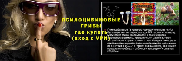 ГАЛЛЮЦИНОГЕННЫЕ ГРИБЫ Горняк