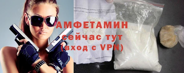 шишки Горно-Алтайск