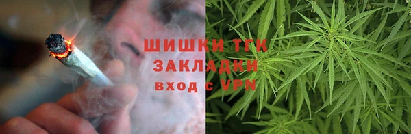 ГАЛЛЮЦИНОГЕННЫЕ ГРИБЫ Горняк