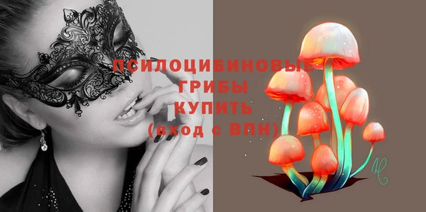 СК Куртамыш