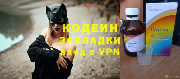 шишки Горно-Алтайск