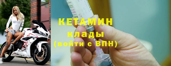 шишки Горно-Алтайск
