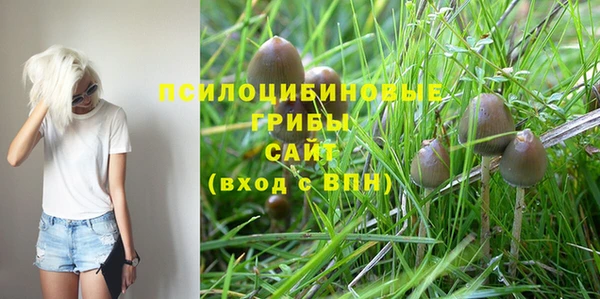 ГАЛЛЮЦИНОГЕННЫЕ ГРИБЫ Горняк