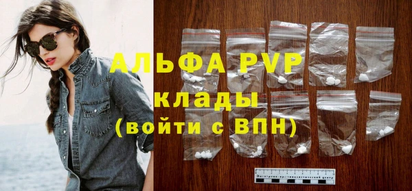 шишки Горно-Алтайск