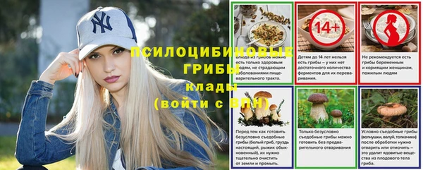 ГАЛЛЮЦИНОГЕННЫЕ ГРИБЫ Горняк