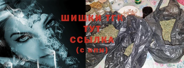 шишки Горно-Алтайск