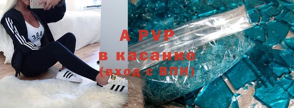 шишки Горно-Алтайск