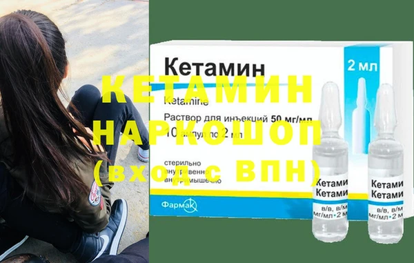 шишки Горно-Алтайск