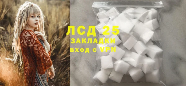ГАЛЛЮЦИНОГЕННЫЕ ГРИБЫ Горняк